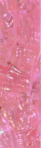 Kagyló lap - rózsaszín