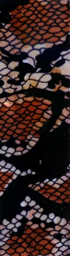 Kagyló lap - kigyó